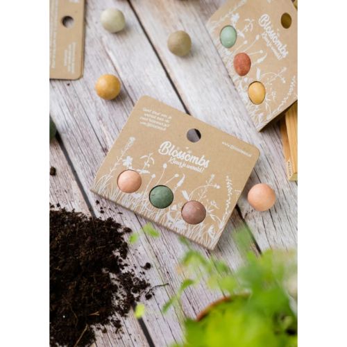Giveaway with 3 seed bombs - Image 3